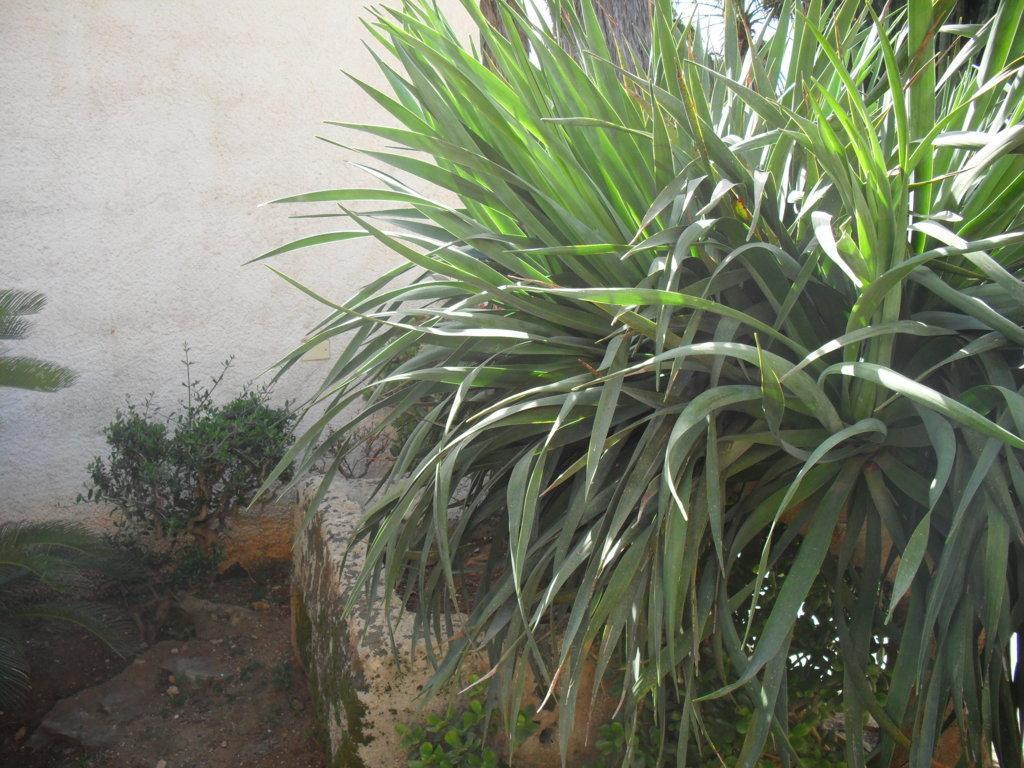 Apartmán Casa Petros Marsala Exteriér fotografie